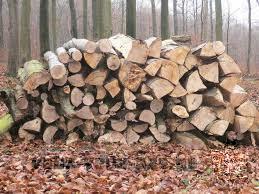 2014 winter heating wood