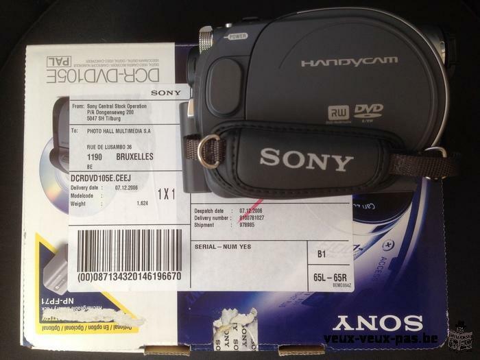 Caméra Portable Sony - Handycam DCR-DVD105E
