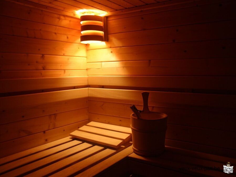 Chalet savoyard de 19 lits de haut standing avec sauna et Jacuzzi