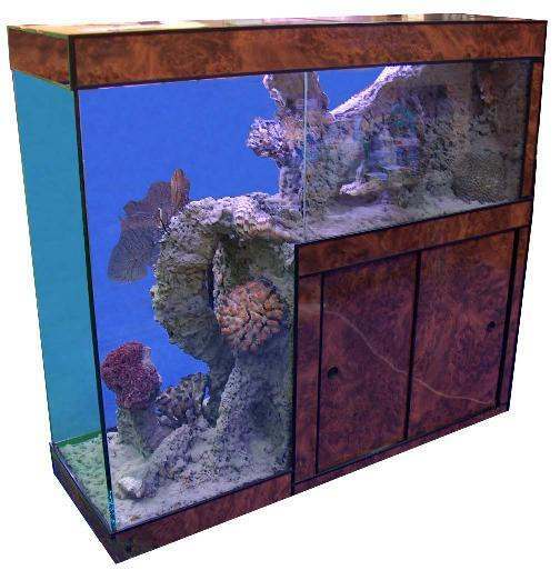 Fabrication d'aquarium sur mesure