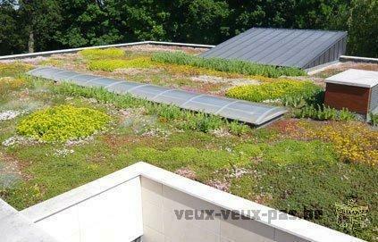 L'ART-BORETUM : abattage/elagage/espaces vert/toiture végétal /terrassement,pavage