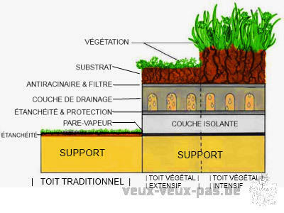 L'ART-BORETUM : abattage/elagage/espaces vert/toiture végétal /terrassement,pavage