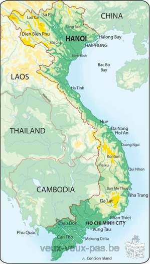 Vietnamees Taalles en Vertaling of Vertolking